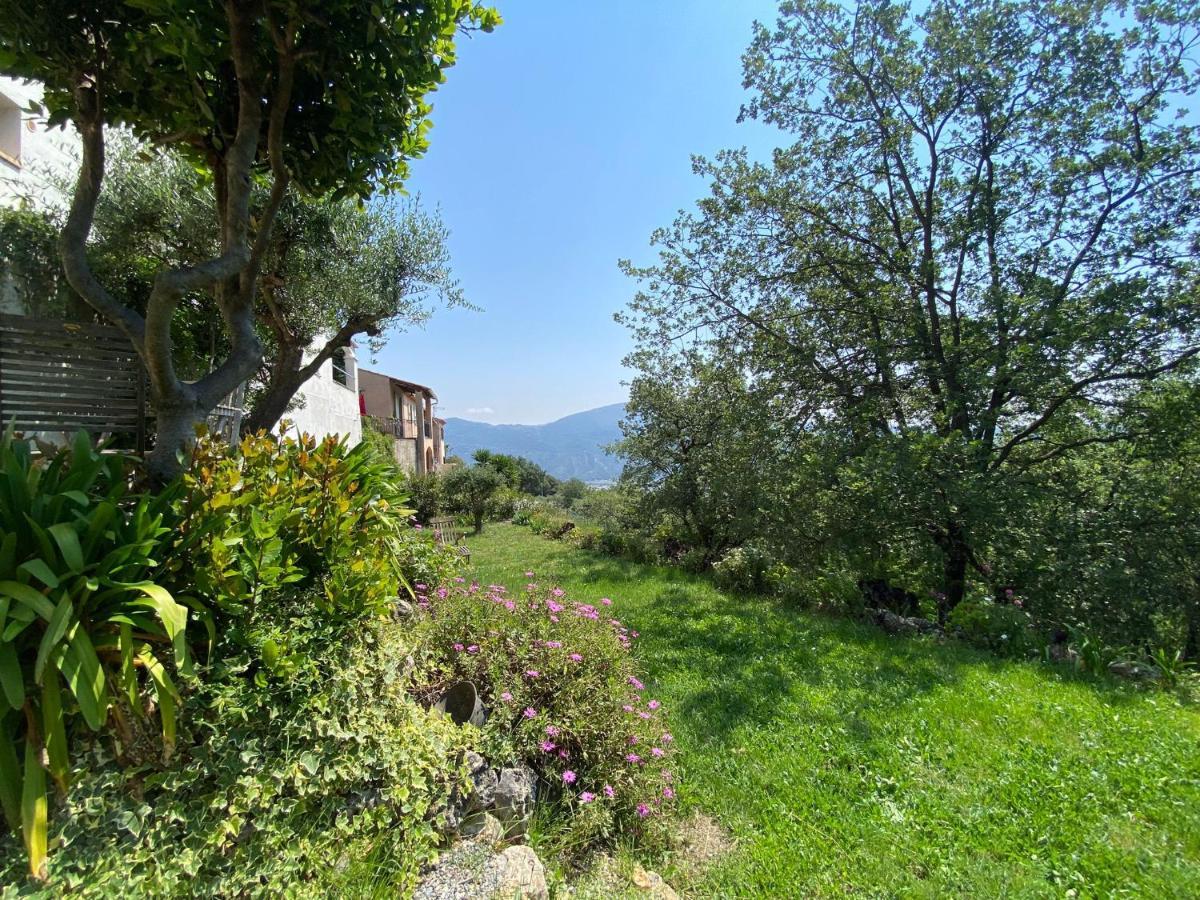 Appartement 2 Pieces Dans Individuelle Terrasses Jardin Carros